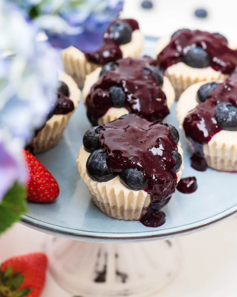 blueberry cheesecake bites